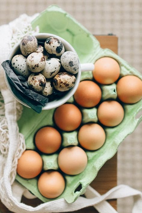Understanding Egg Terms: From Cage-Free to Omega-3