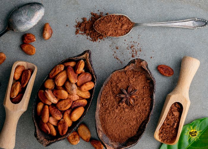 Cocoa bean visual data 2