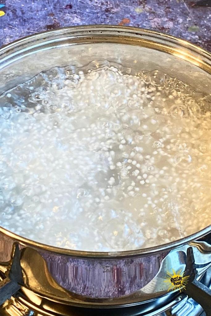 How to PROPERLY Cook Tapioca Pearls or Sago for Perfect Texture | Rice ...